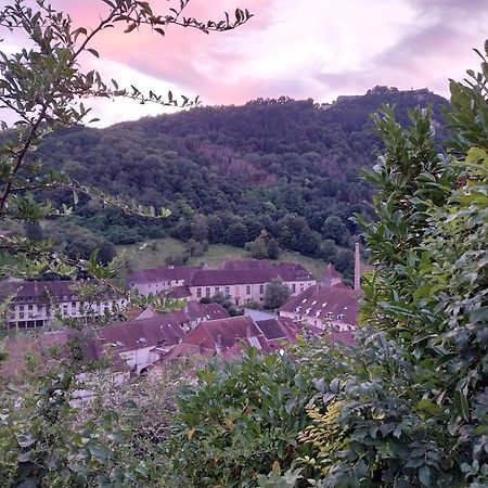 Le Coeur De Sel Daire Salins-les-Bains Dış mekan fotoğraf